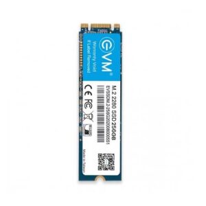 EVM 256GB M.2 SATA SSD EVMM2 256GB VIP Systems